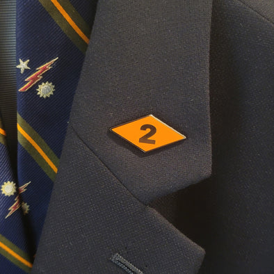 2 Diamond Lapel Pin