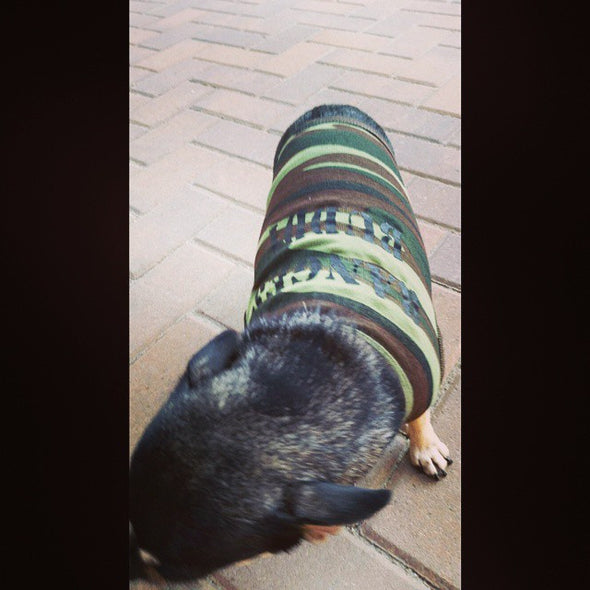Dog Clothes